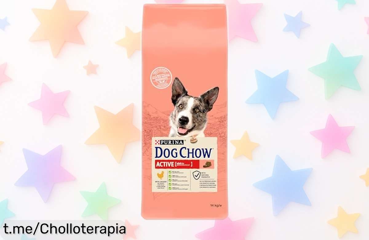 Pienso Purina Dog Chow para perro adulto activo, con pollo y croquetas que cuidan sus dientes. Rebajado por tiempo limitado: el chollo que tu peludo necesita para estar a tope de energía.