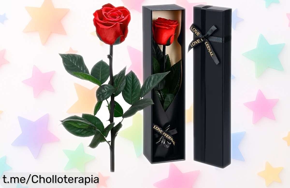 Rosa eterna preservada Qoosea con tallo, el regalo de amor que no se marchita. ¡Aprovecha esta oferta increíble y sorprende con un detalle único!