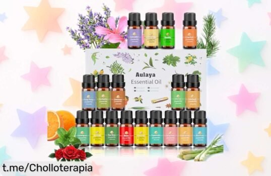 Set de aceites esenciales variados para humidificador que te transportan a otro mundo, precio rebajado y aromas que animan tu día. ¡No dejes pasar esta oferta increíble!