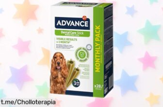 Snacks Advance para perros que limpian dientes y aseguran un aliento fresco en solo un mes a un precio de ganga irresistible, ¡aprovéchalo antes de que se acaben!