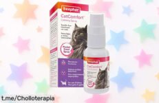 Spray calmante para gatos Beaphar CatComfort: olvídate del estrés y los malos rollos a un precio de ganga que no puedes dejar pasar, ¡tu peludo te lo agradecerá!