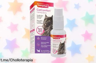 Spray calmante para gatos Beaphar CatComfort: olvídate del estrés y los malos rollos a un precio de ganga que no puedes dejar pasar, ¡tu peludo te lo agradecerá!