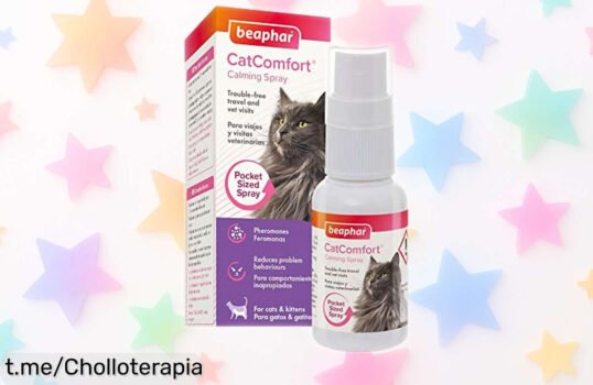 Spray calmante para gatos Beaphar CatComfort: olvídate del estrés y los malos rollos a un precio de ganga que no puedes dejar pasar, ¡tu peludo te lo agradecerá!