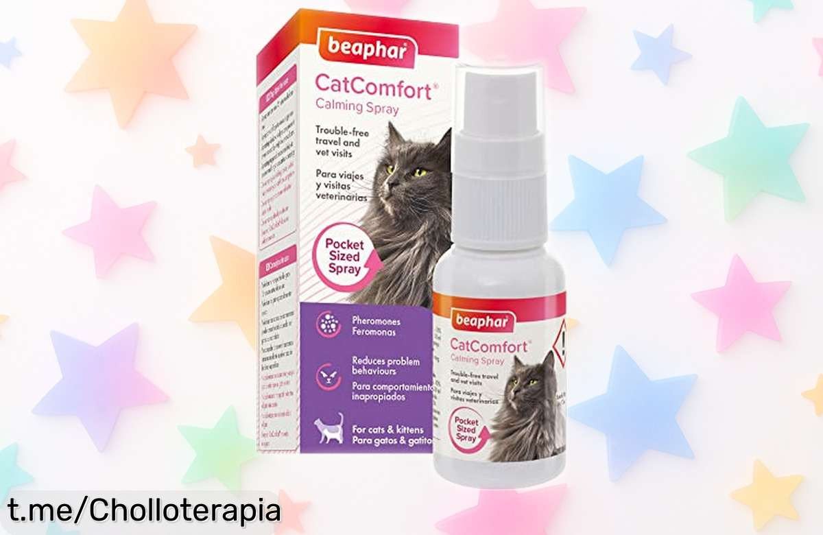 Spray calmante para gatos Beaphar CatComfort: olvídate del estrés y los malos rollos a un precio de ganga que no puedes dejar pasar, ¡tu peludo te lo agradecerá!