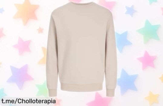 Sudadera JJECHARGE Moonbeam, ligera y perfecta para cada día: ¡no te pierdas esta ganga que jamás habías imaginado!