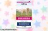 Alimento seco Eukanuba Daily Care para perros con sobrepeso y esterilizados: ¡paquetazo de 2.3 kg a precio de escándalo que cuidará su salud y sonrisa!