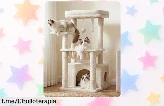 Árbol para rascar y descansar gatos Heybly HCT008SM: Un chollo increíble con cesto grande y postes resistentes, tu gato necesita su espacio feliz ya ¡No dejes escapar esta oferta única!
