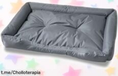 Cama ortopédica grande para perros y gatos Angel Living, el ofertón que tu mascota no puede dejar pasar; ¡aprovéchala antes de que desaparezca!
