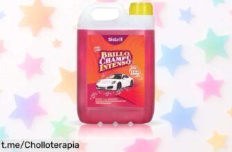 Champú ultraconcentrado Sisbrill Brillo Intenso para coche, descubre el secreto para un brillo radiante y cuida tu pintura a un precio de escándalo ¡No te lo puedes perder!