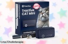 Collar GPS para gatos Tractive Mini que te muestra su ubicación en tiempo real y mejora su salud, todo por un precio de escándalo. ¡No pierdas esta oportunidad única!