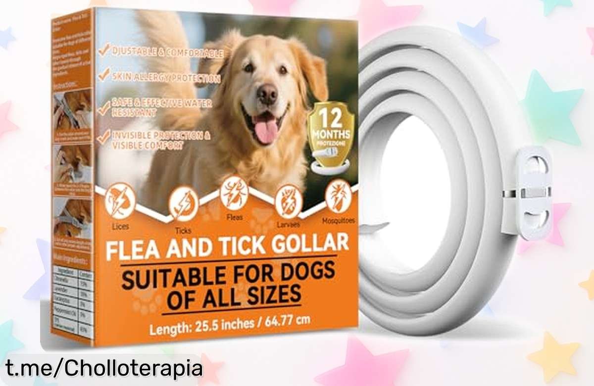Collar antiparasitario natural para perros, protección de 12 meses a precio de ganga que mantiene a tu mejor amigo feliz y libre de pulgas y garrapatas ¡Hazlo tuyo ya!