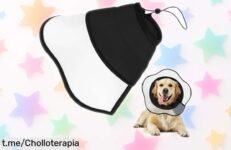 Collar protector para perro YUEMING: el inventazo que tu peludo necesita a un precio loco, previene lamidos y mordeduras. ¡Adquiérelo ya y cuida su salud!