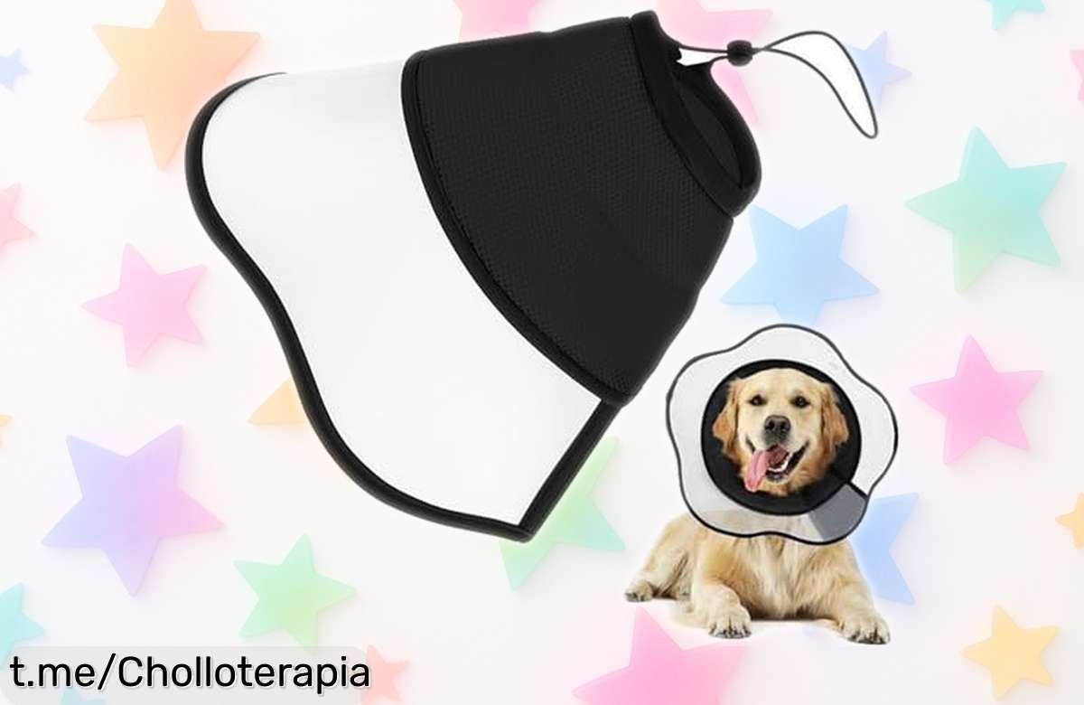 Collar protector para perro YUEMING: el inventazo que tu peludo necesita a un precio loco, previene lamidos y mordeduras. ¡Adquiérelo ya y cuida su salud!