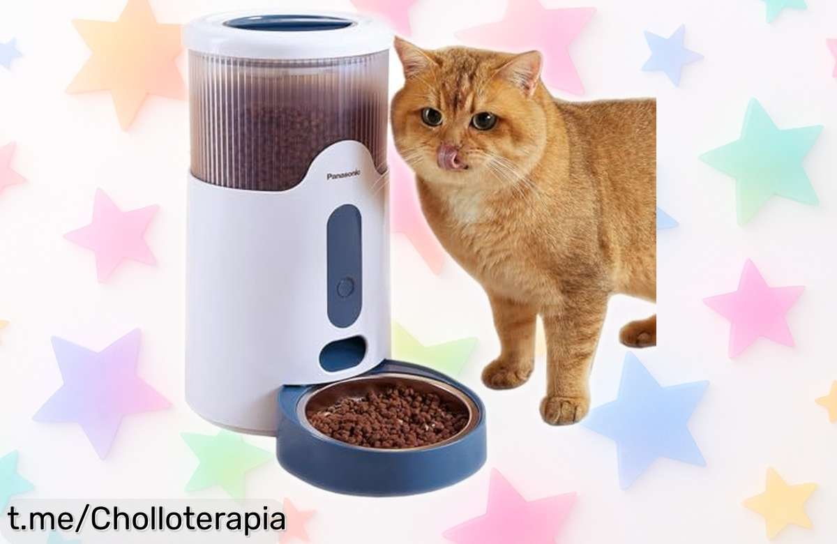Comedero automático Panasonic para gatos y perros medianos: ¡Nunca más te faltará comida en casa a un precio que no puedes dejar escapar!