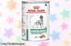 Comida Royal Canin para perros diabéticos en pack de 12 latas, ¡ofertón que cuida su salud y peso a un precio loco! Cuídalo hoy mismo con esta oportunidad única.