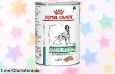 Comida Royal Canin para perros diabéticos en pack de 12 latas, ¡ofertón que cuida su salud y peso a un precio loco! Cuídalo hoy mismo con esta oportunidad única.