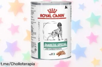 Comida Royal Canin para perros diabéticos en pack de 12 latas, ¡ofertón que cuida su salud y peso a un precio loco! Cuídalo hoy mismo con esta oportunidad única.