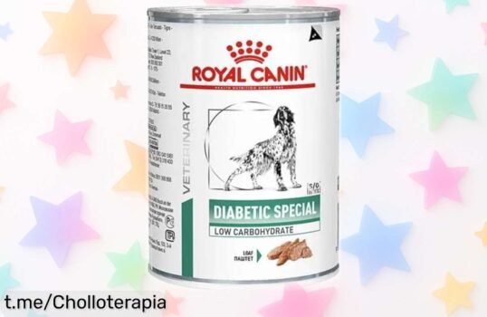 Comida Royal Canin para perros diabéticos en pack de 12 latas, ¡ofertón que cuida su salud y peso a un precio loco! Cuídalo hoy mismo con esta oportunidad única.