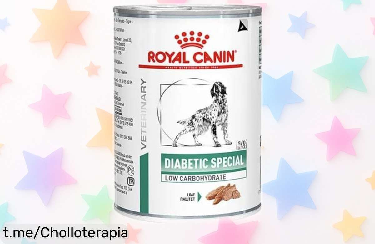 Comida Royal Canin para perros diabéticos en pack de 12 latas, ¡ofertón que cuida su salud y peso a un precio loco! Cuídalo hoy mismo con esta oportunidad única.