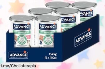 Comida húmeda Advance Diets para perros con cerdo, ¡6 latas de 400g a un precio increíble! Cuida a tu mejor amigo mientras disfrutas de este chollazo único.