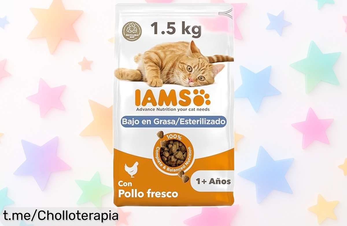 Comida seca IAMS para gatos adultos esterilizados con pollo fresco, ¡super chollo que cuida su piel, pelo y dientes mientras los llena de energía!