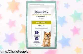 Comida seca premium para perros pequeños by Amazon, un ofertón rebajado que cuida su pancita y le da felicidad ¡No dejes escapar esta oportunidad para mimar a tu peludo amigo!