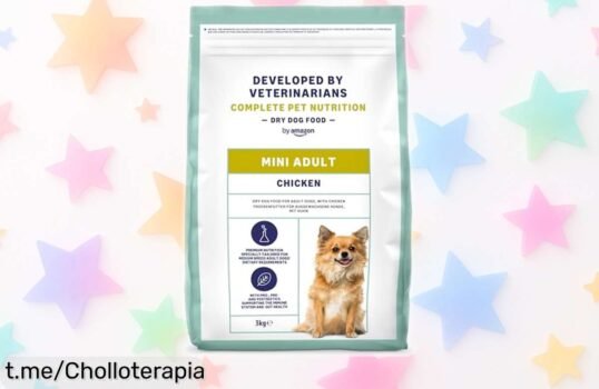 Comida seca premium para perros pequeños by Amazon, un ofertón rebajado que cuida su pancita y le da felicidad ¡No dejes escapar esta oportunidad para mimar a tu peludo amigo!