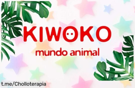 Consigue todo lo que quieras en la web con un descuento brutal usando el cupón COLLINKWK, ¡haz hueco en tu wishlist y ahorra de verdad!