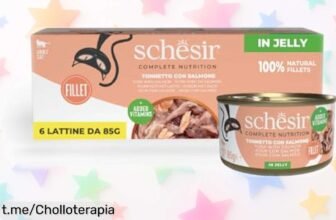 Deliciosa comida húmeda Schesir de atún con salmón en gelatina, 6 latas llenas de sabor y salud a un precio sorprendente que hará feliz a tu gato ¡No te lo pierdas!