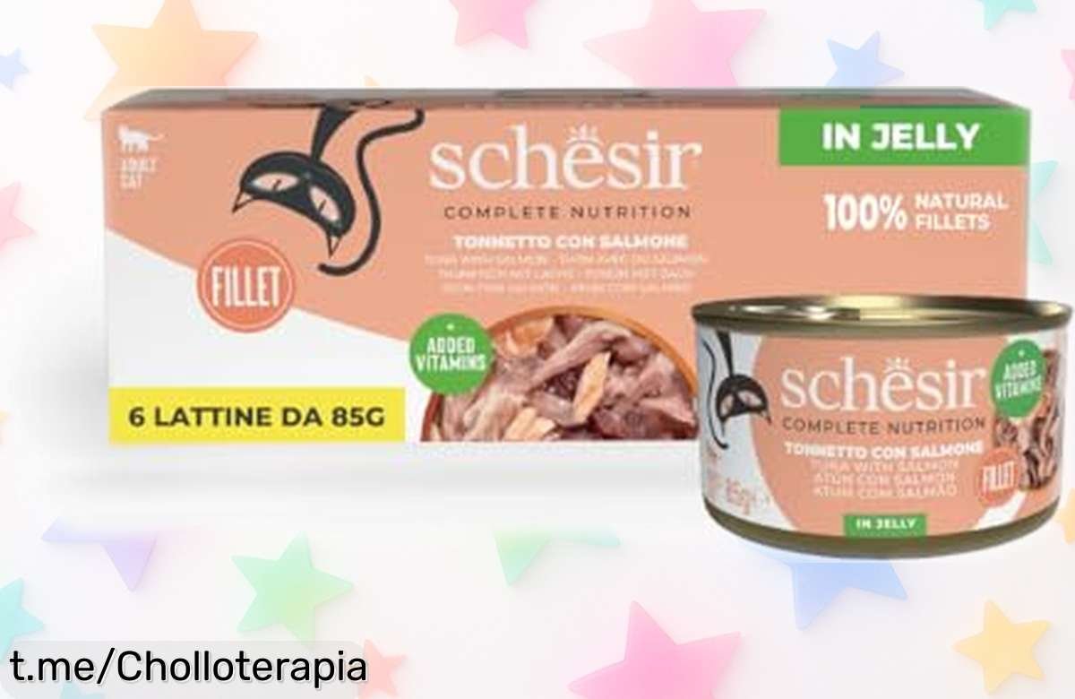 Deliciosa comida húmeda Schesir de atún con salmón en gelatina, 6 latas llenas de sabor y salud a un precio sorprendente que hará feliz a tu gato ¡No te lo pierdas!