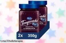Delicioso pack de 2 botes de mermelada de arándanos Hero a precio regalado, perfectos para alegrar tus desayunos y meriendas. ¡No te quedes sin este manjar en tu despensa!