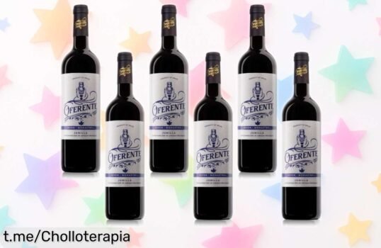 Delicioso pack de 6 botellas de vino tinto joven Santiago Apóstol D.O. Jumilla, gran calidad que no puedes dejar pasar ¡disfruta y comparte la buena vida a precio loco!