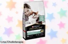 Descubre el pienso para gato adulto Purina Pro Plan LiveClear que reduce los alérgenos y cuida su digestión a un precio rebajado, ¡tu hogar y tu gato te lo agradecerán!