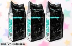 Disfruta de 3 kilos del mejor café Mogorttini espresso intenso a un precio regalado, ideal para verdaderos amantes del café que buscan calidad y sabor. ¡Compra ya antes de que se agote!