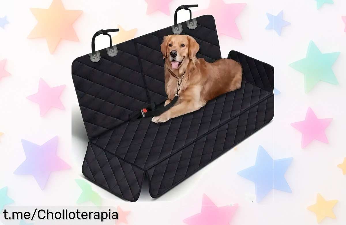 Funda impermeable para asiento de coche con colchón y protecciones laterales para perros, ¡ofertón que no puedes dejar pasar para viajes sin caos!