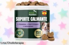 Gominolas relajantes para perros con fórmula natural, un ofertón de 150 unidades que tu peludo agradecerá: ¡dile adiós al estrés y hazlo feliz hoy mismo!