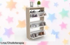 Impresionante mueble armario zapatero Dormidan de 3 puertas, ¡el precio ha caído en picado y todo tu desorden estará bajo control! No lo dejes escapar, ordena ya tu espacio con estilo.