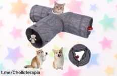 Increíble túnel plegable para gatos MZSX con 3 vías y pelotitas, ¡aprovecha esta oferta única que no volverá! Tu mascota te lo agradecerá jugando a mil.