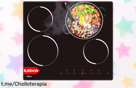 Placa vitrocerámica Nilson NV4600 con 4 zonas y control táctil, ¡un ofertón a precio tirado que hará de tus comidas un festín seguro para todos!