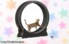 Rueda para gatos Mondeer XL que hará feliz a tu minino mientras se ejercita, ¡aprovéchate de este precio de escándalo y dale la diversión que merece ya!