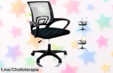 Silla de escritorio ergonómica EveryKip Original que cuida tu espalda y te hará sentir como nuevo, ¡aprovecha este precio loco antes de que se acabe!