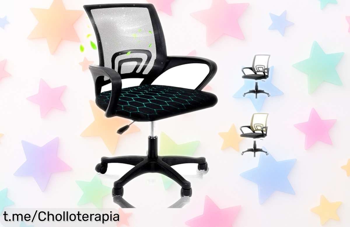 Silla de escritorio ergonómica EveryKip Original que cuida tu espalda y te hará sentir como nuevo, ¡aprovecha este precio loco antes de que se acabe!
