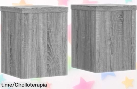 Soportes de plantas vidaXL súper resistentes, pack 2 unidades de calidad excepcional ideal para tus macetas; no te pierdas este ofertón a un precio increíble que resalta tu hogar.
