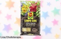 Substrato universal COMPO SANA de 10 L que alimenta tus plantas hasta 8 semanas, ¡ahora a un precio increíblemente bajo! Haz crecer raíces fuertes y dale vida a tu hogar antes de que se acabe.