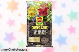 Substrato universal COMPO SANA de 10 L que alimenta tus plantas hasta 8 semanas, ¡ahora a un precio increíblemente bajo! Haz crecer raíces fuertes y dale vida a tu hogar antes de que se acabe.