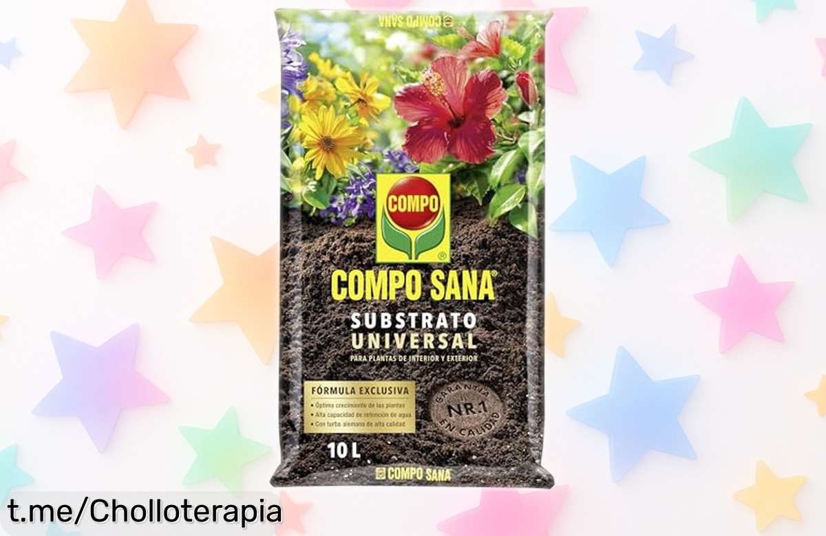 Substrato universal COMPO SANA de 10 L que alimenta tus plantas hasta 8 semanas, ¡ahora a un precio increíblemente bajo! Haz crecer raíces fuertes y dale vida a tu hogar antes de que se acabe.