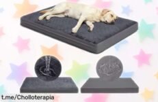 Cama para perro mediano Favodormir con colchón ortopédico, el ofertón que tu amigo de cuatro patas merece, ¡aprovéchala y dale el descanso que necesita ya!