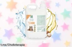 Champú para perros MENFORSAN de 5L: ¡ofertón con aceite de macadamia que deja el pelo suave y brillante! Mima a tu peludo sin nudos ni encrespamiento, aprovecha esta ocasión.