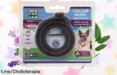 Collar antiparasitario Menforsan para perros: El tremendo chollo que protege a tu peludo de pulgas y garrapatas ¡Hasta 3 meses de tranquilidad en un solo gesto!