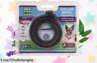 Collar antiparasitario Menforsan para perros: El tremendo chollo que protege a tu peludo de pulgas y garrapatas ¡Hasta 3 meses de tranquilidad en un solo gesto!
